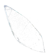 Crystal Down Image 2 - Matices Tequila